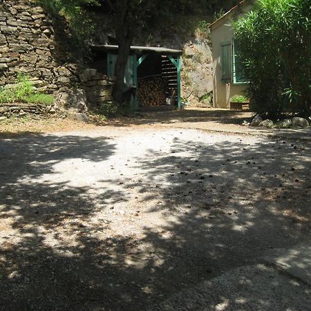 Le Petit Paradis Prémian Exterior foto